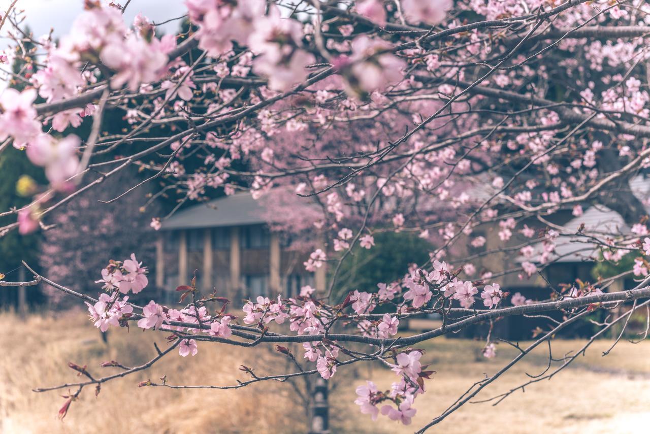 Kaze No Hibiki Hotell Nikko Eksteriør bilde