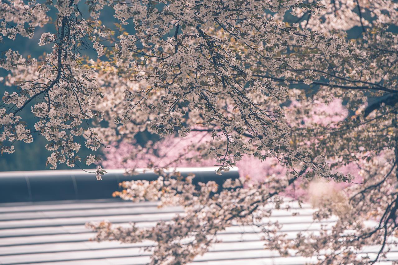 Kaze No Hibiki Hotell Nikko Eksteriør bilde